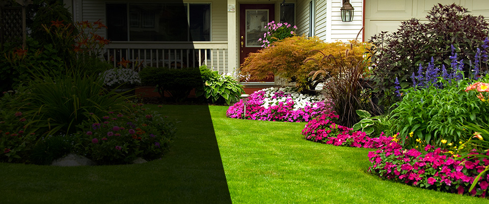 Mammoth Lakes Landscapers
