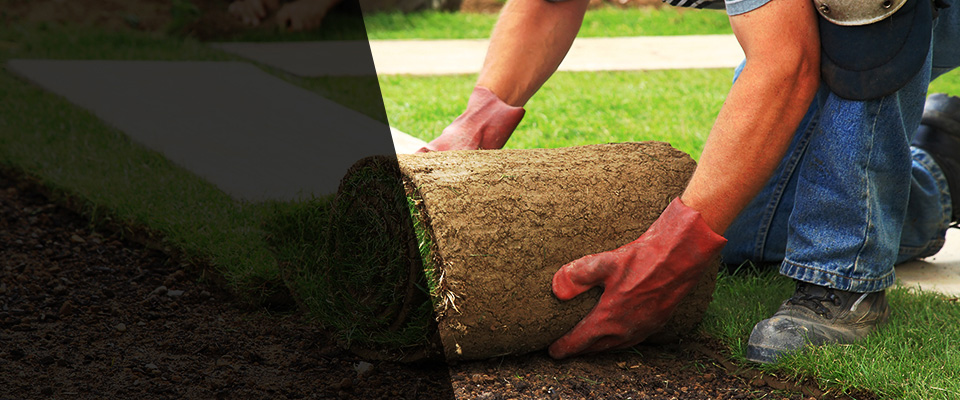 Mammoth Lakes Landscapers